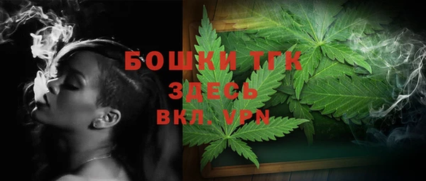 ПСИЛОЦИБИНОВЫЕ ГРИБЫ Гусь-Хрустальный