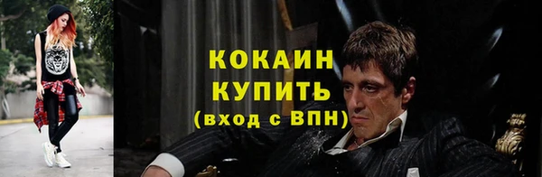a pvp Гусев