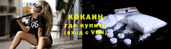 a pvp Гусев