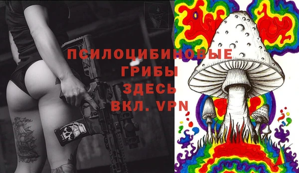 a pvp Гусев