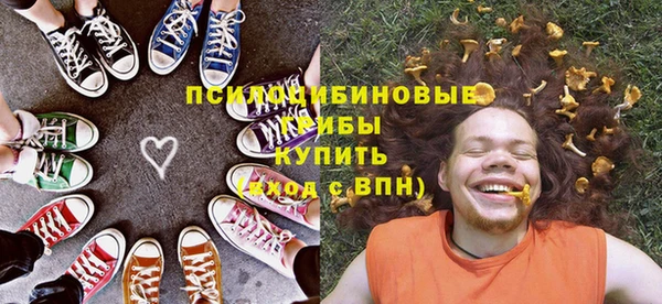 Альфа ПВП Горно-Алтайск