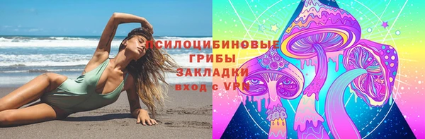 гашик Горняк