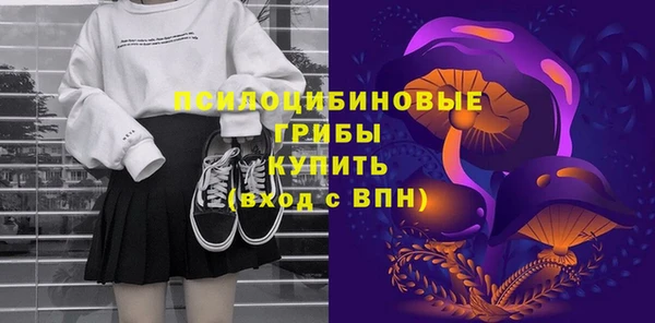 a pvp Гусев