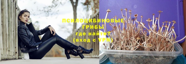 ПСИЛОЦИБИНОВЫЕ ГРИБЫ Гусь-Хрустальный